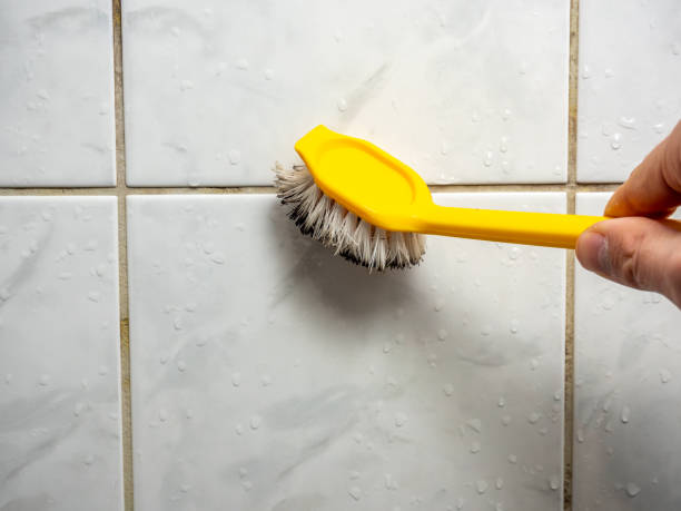 Best Kitchen Mold Remediation in Hampshire, IL